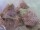 Muscheln naturbelassen