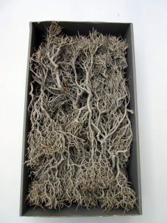 Naturzweige Iron brush grau in Box 750 g