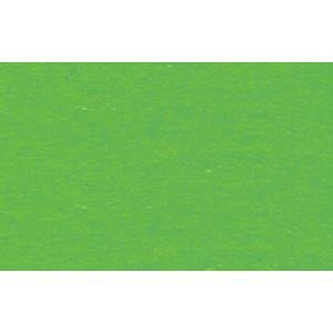Fotokarton Grasgrün 50 x 70 cm, 300 g/m2