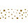 Stern Fotokarton weiß gold 300g 49,5 x 68