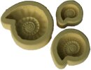 Gießform Fossilien 65  x 58 x 15 mm (mittlere Größe)