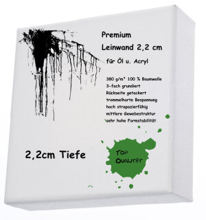 Standard - Bespannte Keilrahmen 20x20 cm Premium 2,1cm 360g