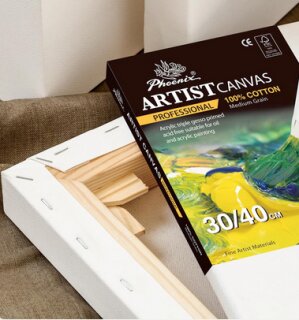 Artist Canvas Professional 3D 20x20 bespannter Keilrahmen