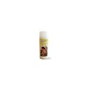 Ghiant Fixativ Konzentrat 400 ml